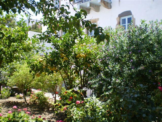 Potamianos House at Patmos
